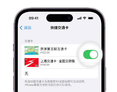 开封apple维修点分享iPhone上更换Apple Pay快捷交通卡手绘卡面 