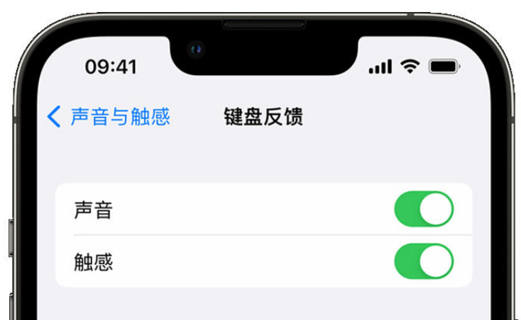 开封苹果手机维修分享iPhone 14触感键盘使用方法 