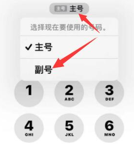 开封苹果14维修店分享iPhone 14 Pro Max使用副卡打电话的方法 