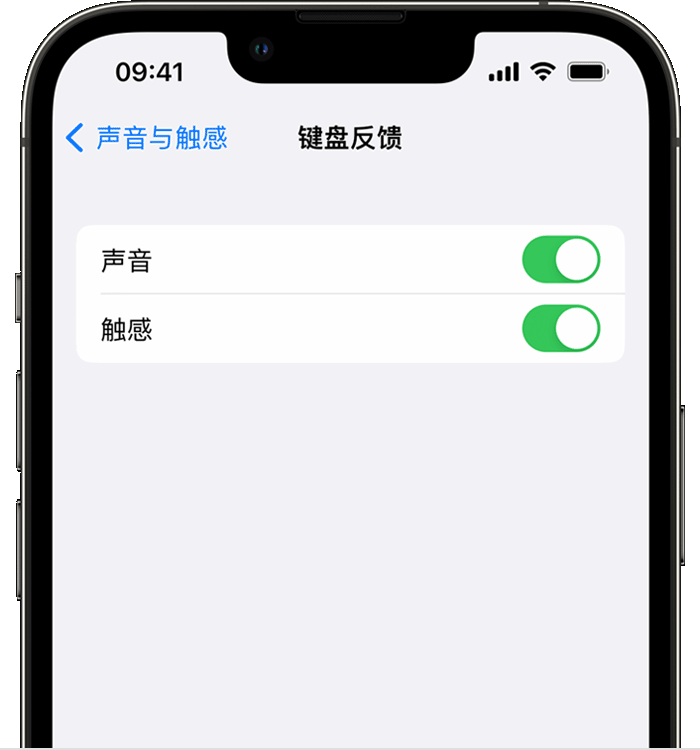 开封苹果14维修分享iPhone 14 系列机型如何开启键盘声音或触感反馈 