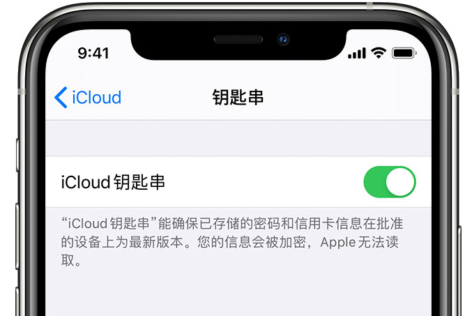 开封苹果手机维修分享在 iPhone 上开启 iCloud 钥匙串之后会储存哪些信息 