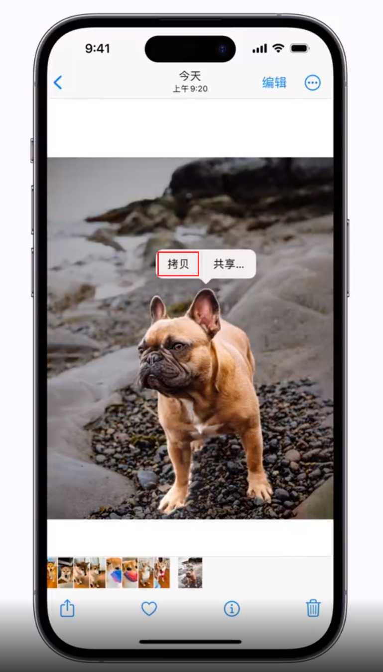开封苹果手机维修分享 iOS 16 自带一键抠图功能 