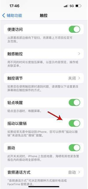 开封苹果手机维修分享iPhone手机如何设置摇一摇删除文字 