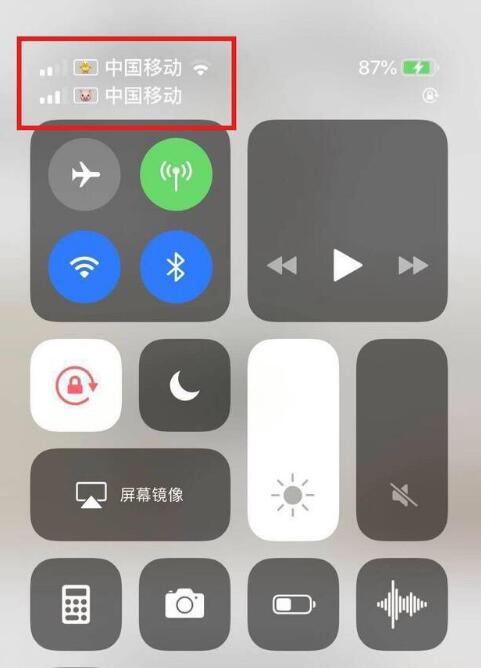 开封苹果手机维修分享为 iPhone 12 双卡设置标签 